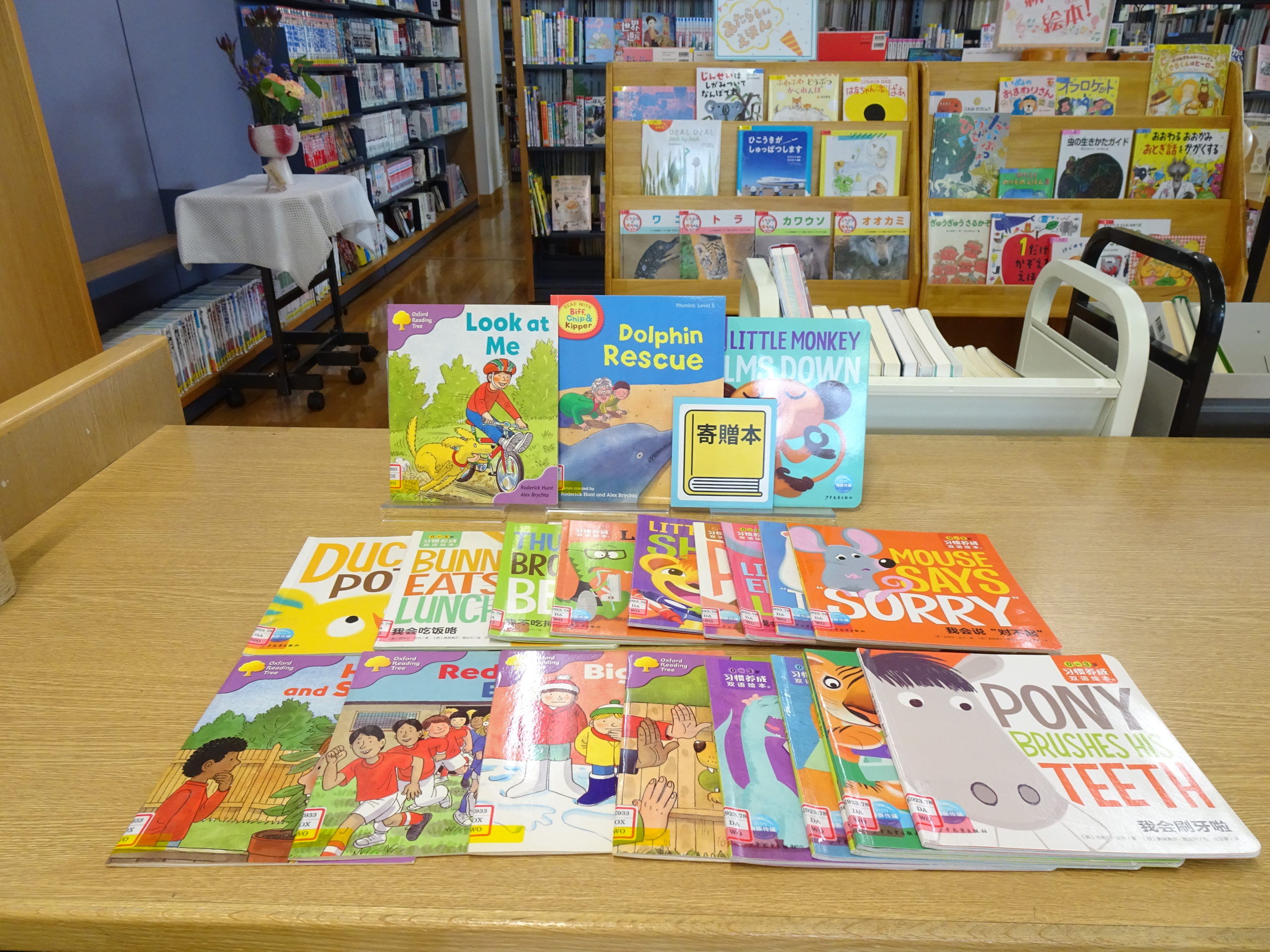 📚 New Picture Books Available 📚